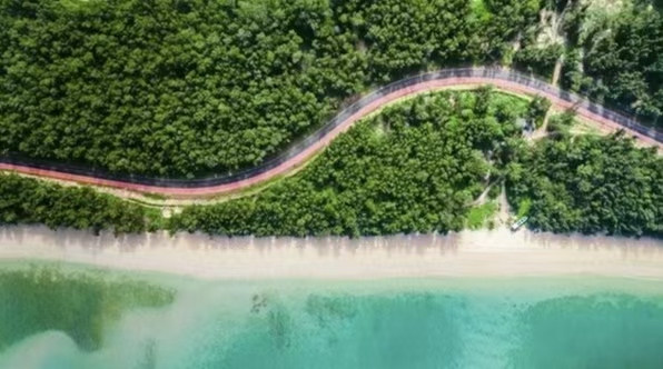 在海南，把“海”玩出花！N種方式等你來“浪”