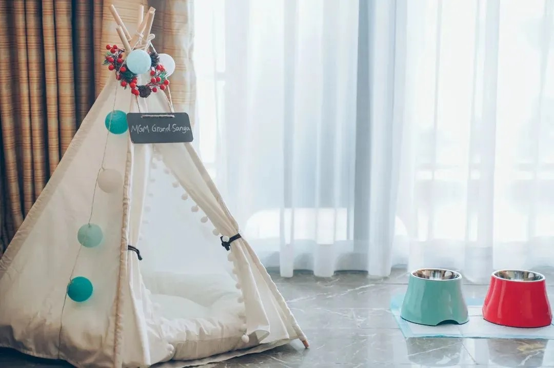 帶“毛孩子”來三亞度假？住就對了